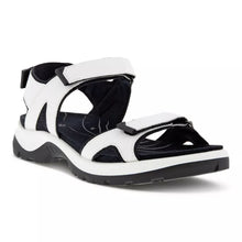 Ecco Offroad Roam